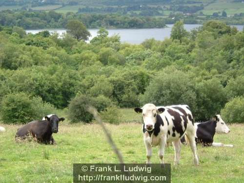 Around Lough Arrow